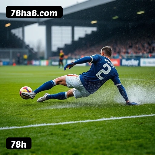 Imagem secundária de apoio para instalação do app 78h